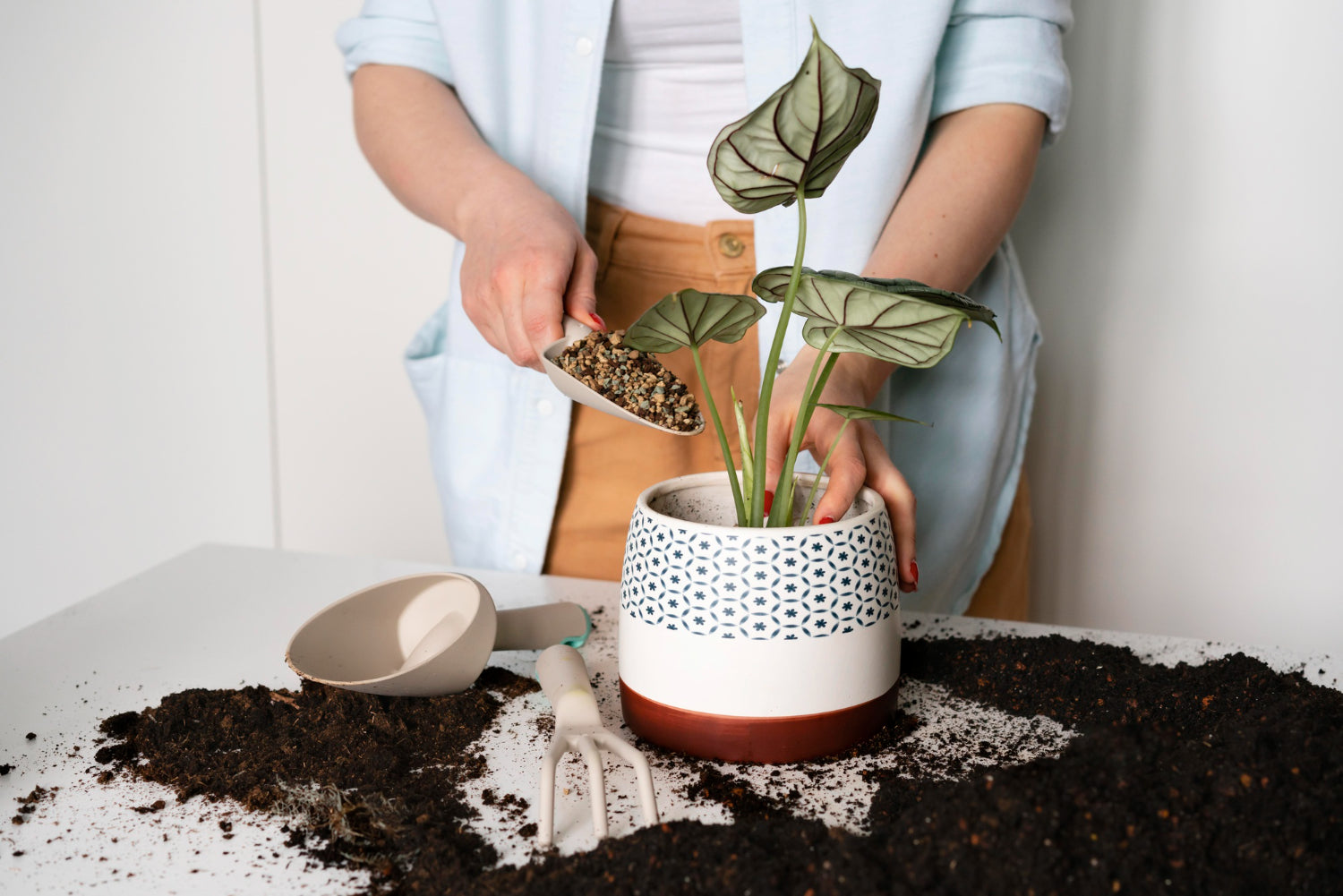 woman holding shovel with small pebbles to be put on potted plant - Plant Studio