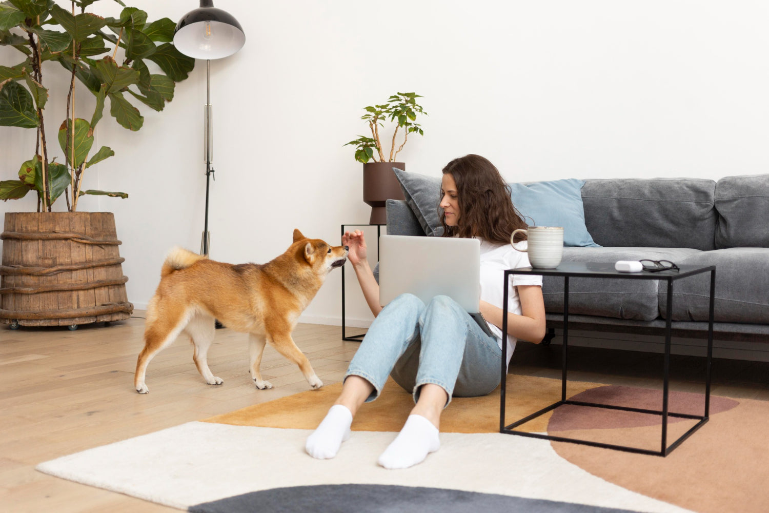 dog with owner in living room lying on the floor holding laptop - Plant Studio