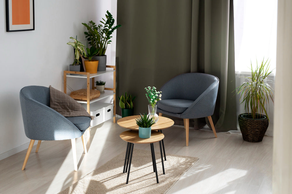 living room with plants 