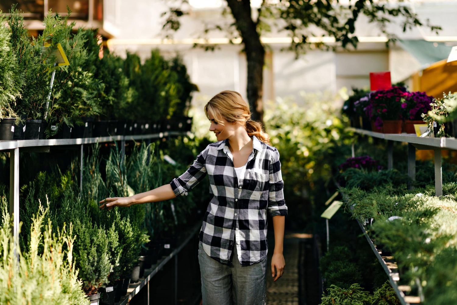 woman in black and white checkered shirt outside with many potted plants - Plant Studio