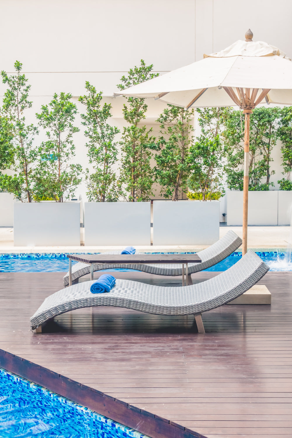 swimming pool with pool chairs and white umbrella and outdoor plants - Plant Studio