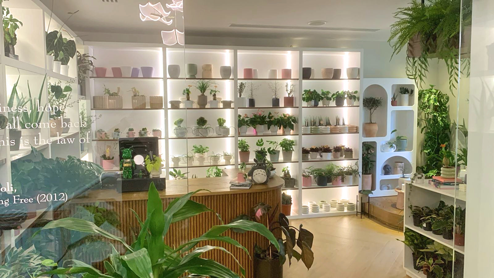 Where to Buy Plants in Dubai: The Ultimate Guide