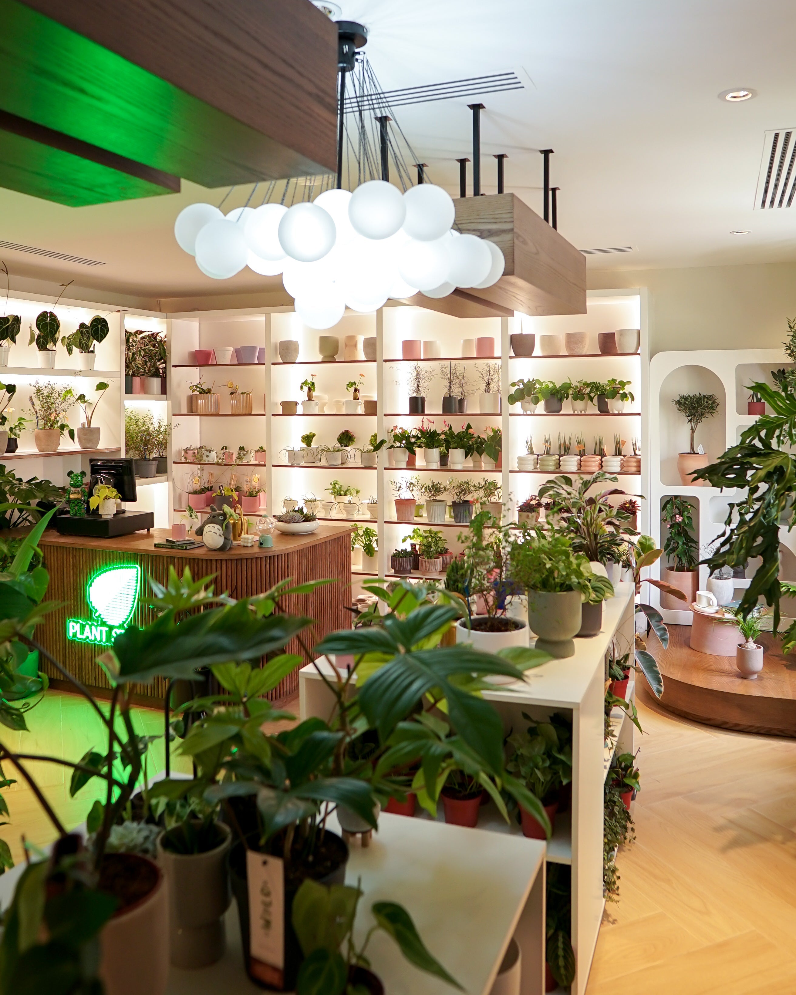 Plant Studio plant shop with many small potted plants and trees and well-lit