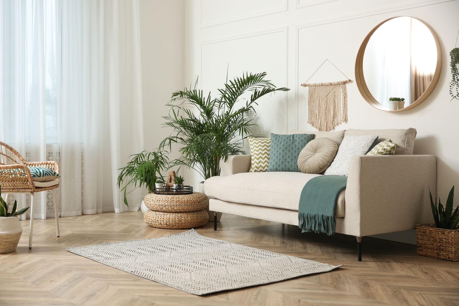 gray sofa with table and mirror on top with potted areca palm plant on the side - Plant Studio