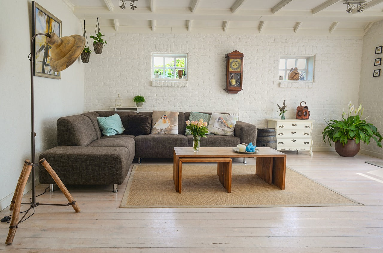 living room with gray sofa and indoor plants in pot - Plant Studio