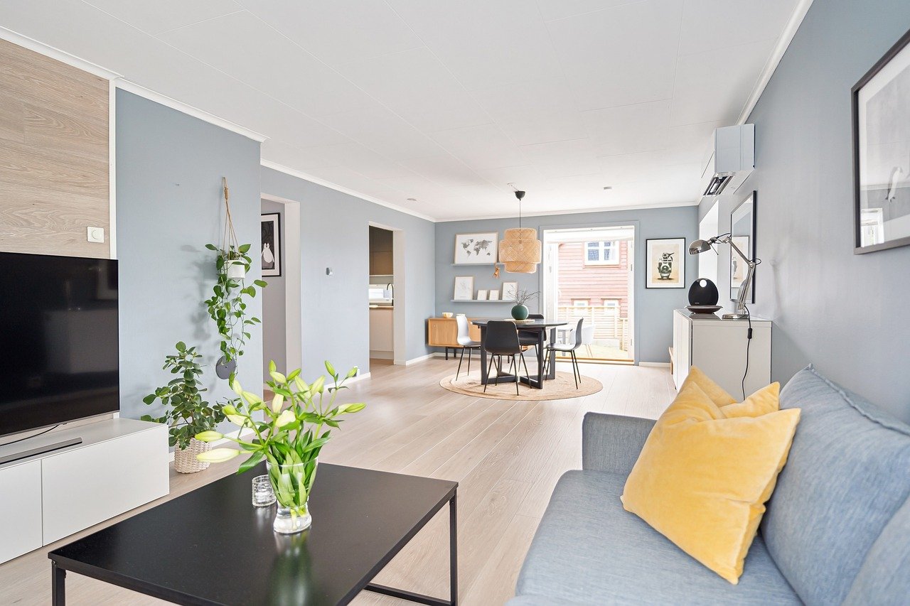 living room with small potted plants - Plant Studio