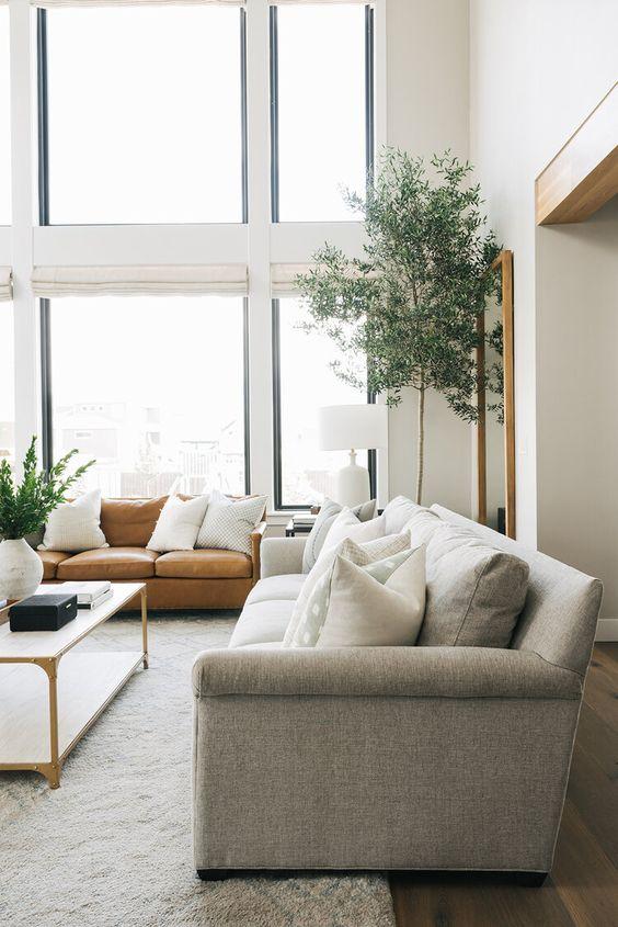 olive tree in pot placed in living room with gray sofa - Plant Studio