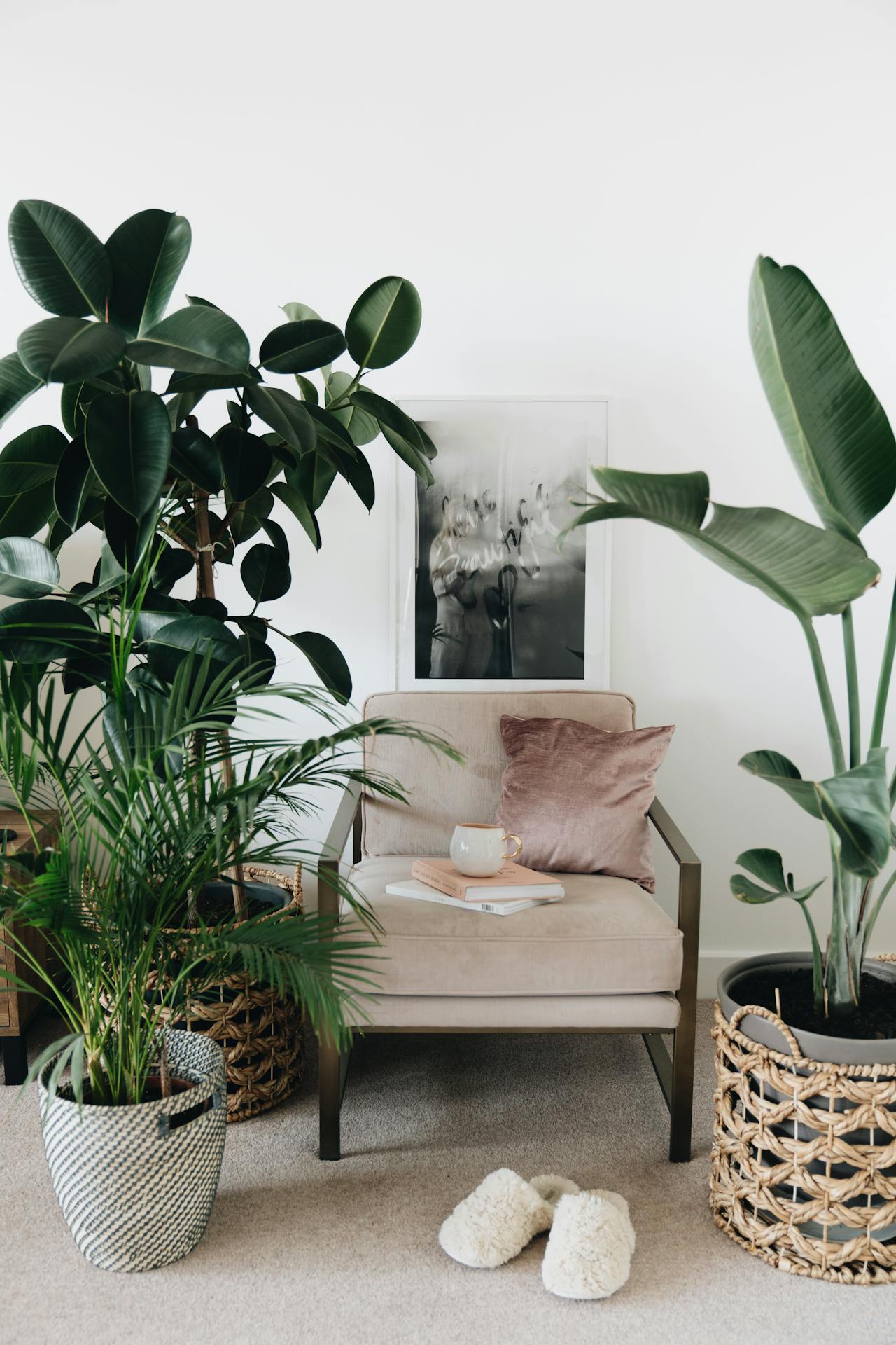 floor plants in the living room with white chair and pillows - Plant Studio