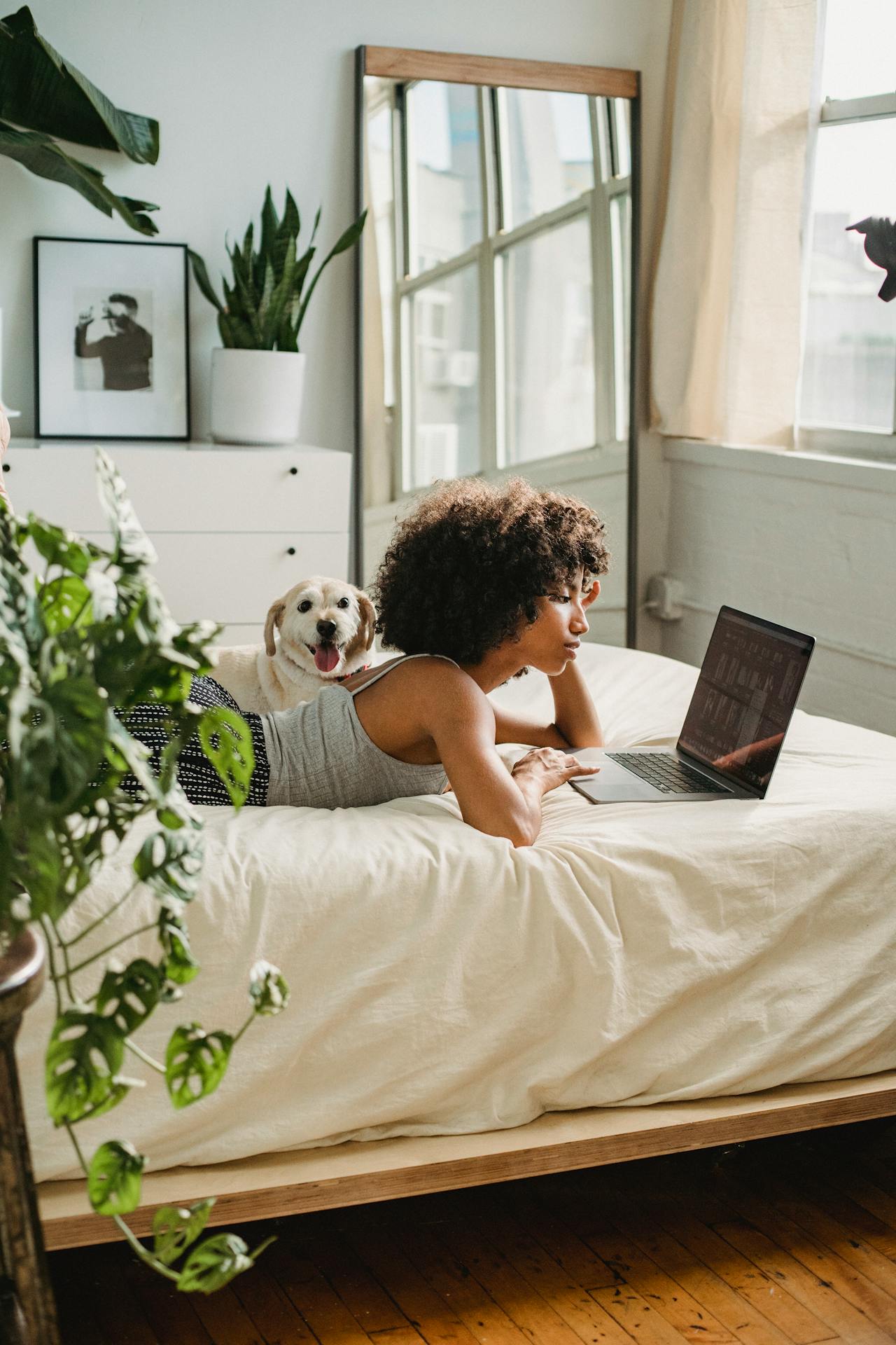 dog with woman on bed using laptop with plants in surrounding - Plant Studio