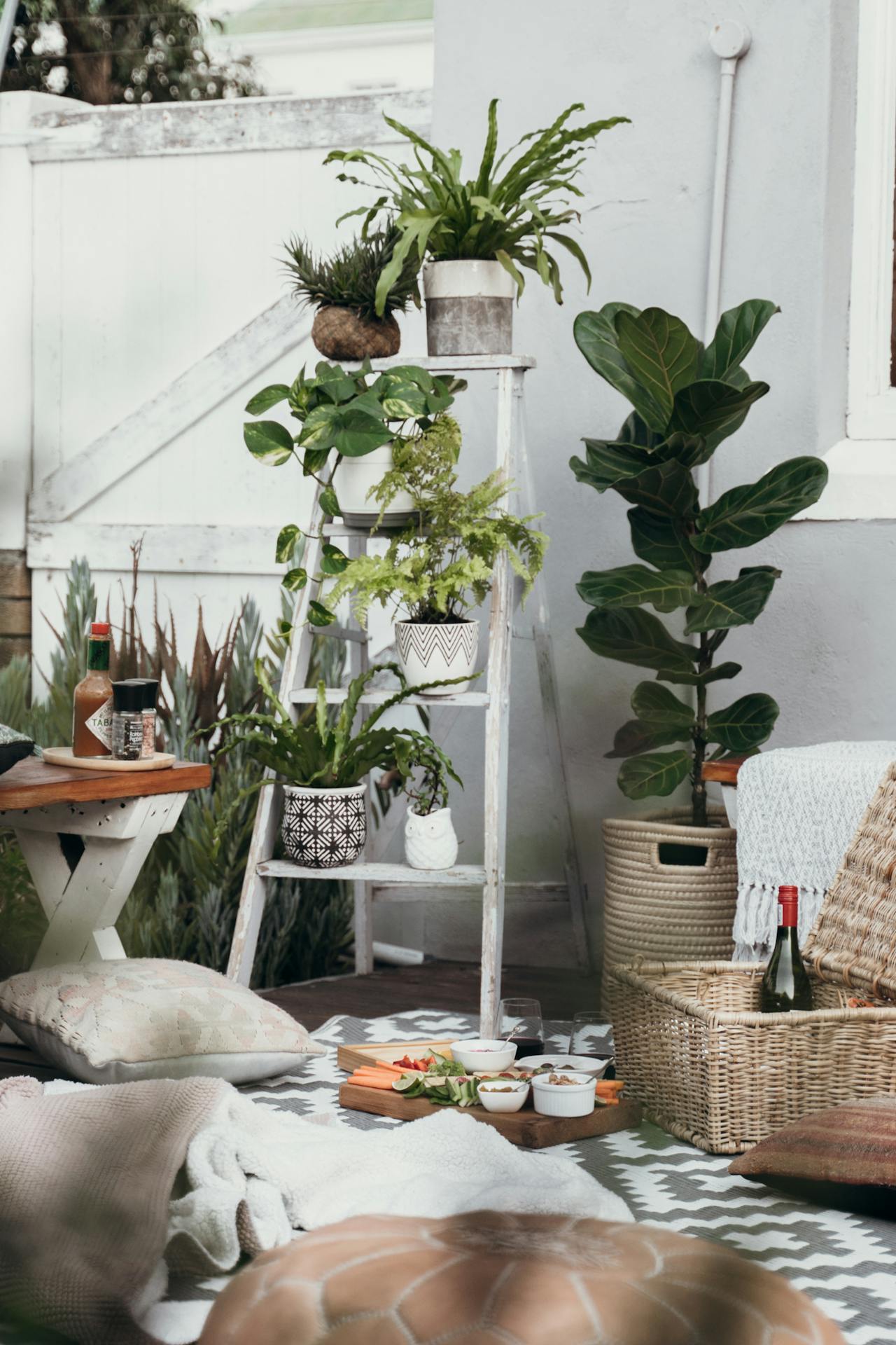 room with variety of indoor plants - Plant Studio