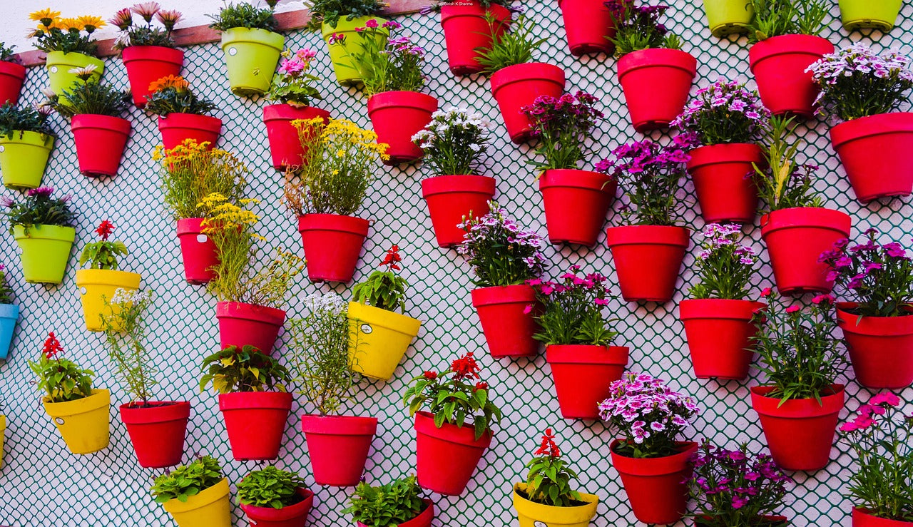 assorted colored pots in wall - Plant Studio