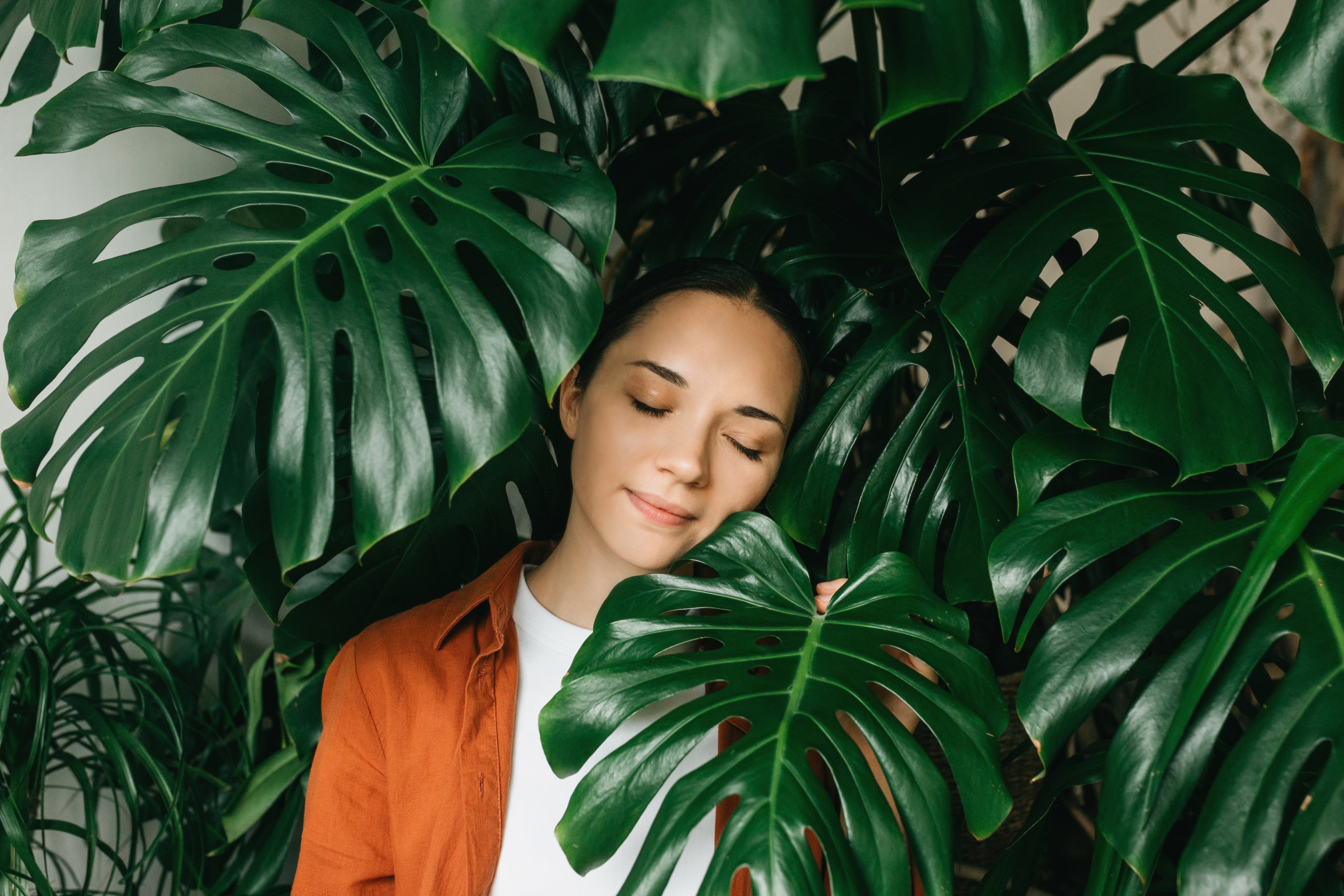 Indoor Plants