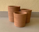 Phetburi Terracotta Pot - Plant Studio LLC